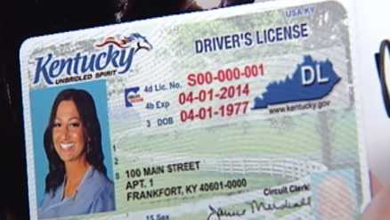 license ky kentucky drivers program driver breaking sign