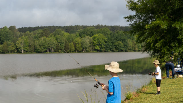 Report: Visitors to SC national park contribute millions to local economy - Vimarsana News