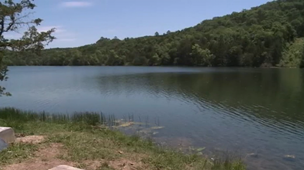 Beach on Lake Dardanelle closed due to E. coli