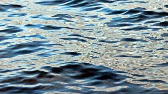 South Carolina: Death investigation underway after reported drowning on Upstate lake - Vimarsana News