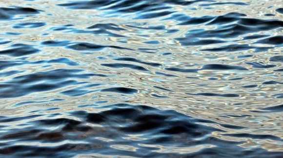 South Carolina: Body found in lake - Vimarsana News