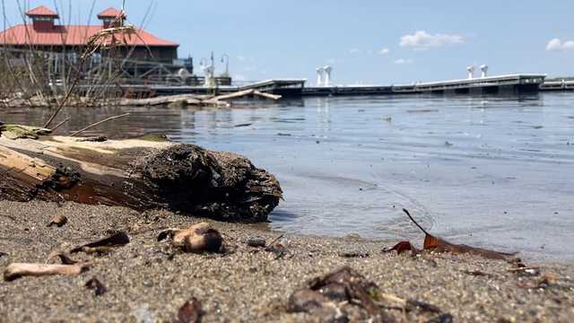 Slowing stormwater runoff, helping to protect the future of the Lake Champlain Basin - Vimarsana News