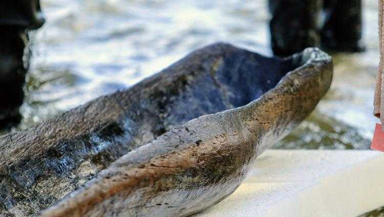 Canoes in Lake Mendota dated to 4,500 years ago - Vimarsana News