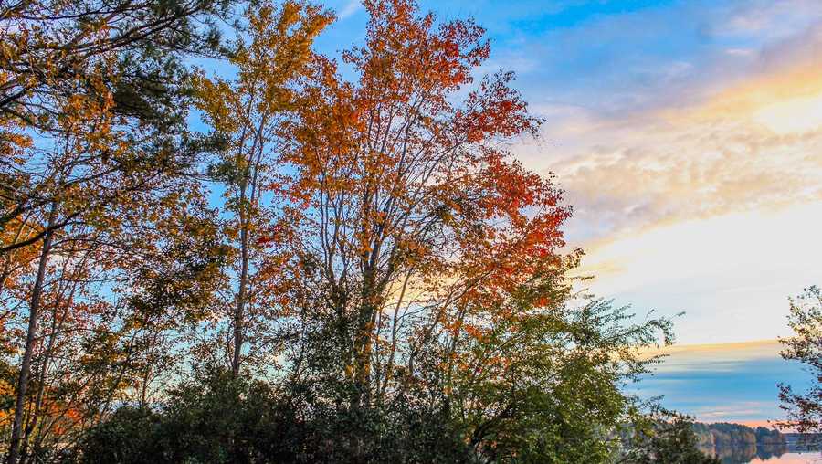 Fall colors in Hampton County
