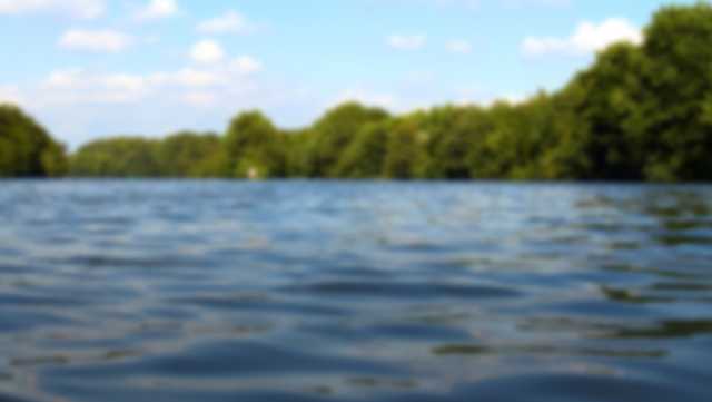 Asheville: Woman killed, 2 injured when tree hits canoe, kayak in North Carolina - Vimarsana News