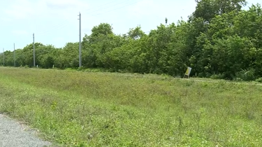Land swap proposal could bring development to west Boca Raton - Vimarsana News