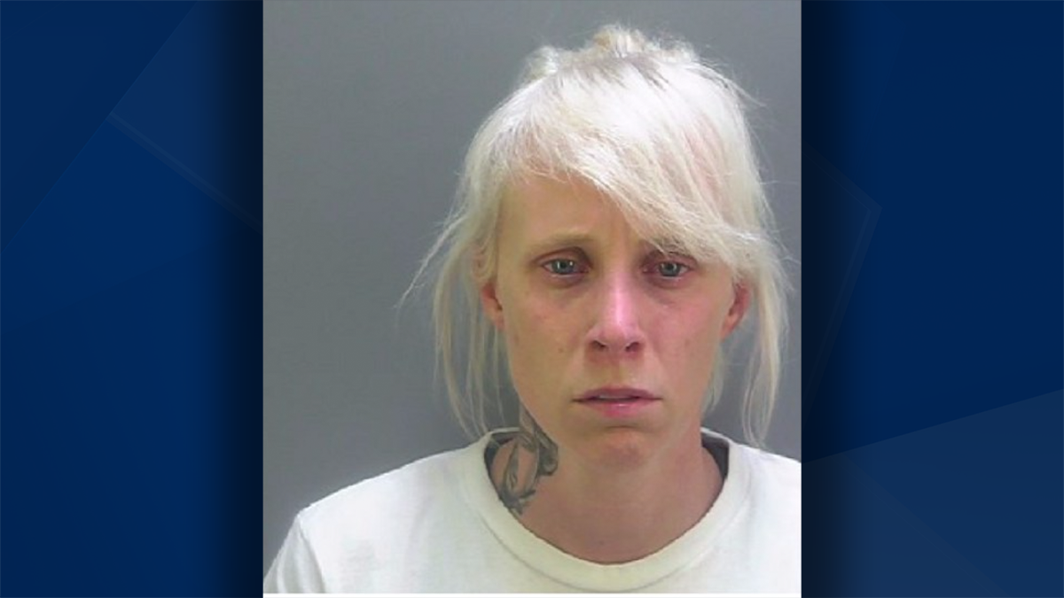 Alva woman on the run for DUI manslaughter charges taken into custody ...