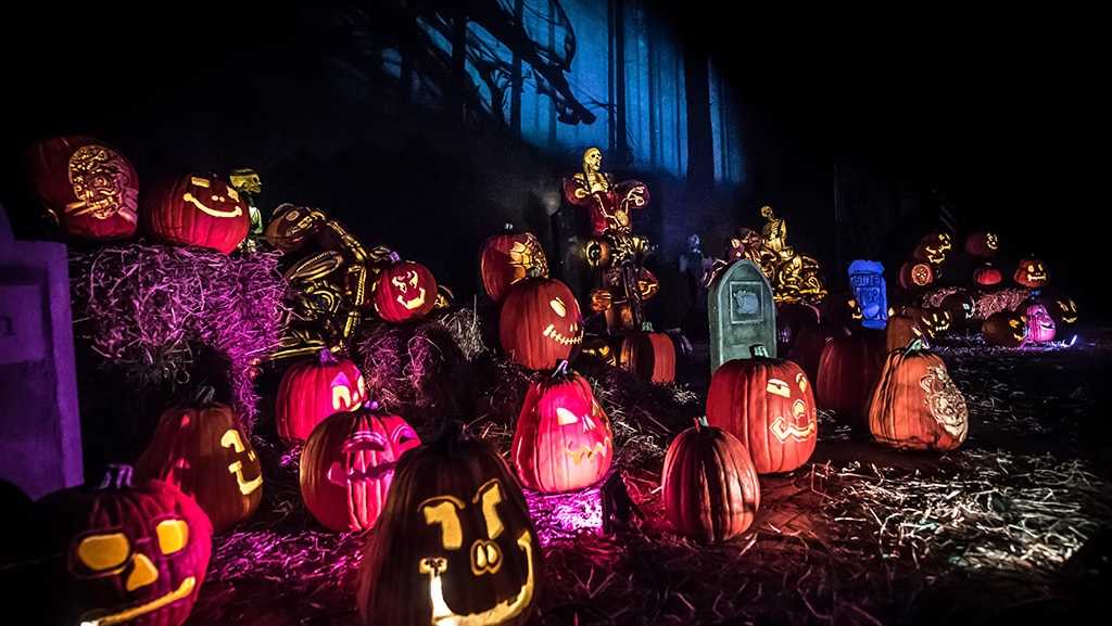 Trail of jack o’ lanterns to illuminate Nashville trail this October
