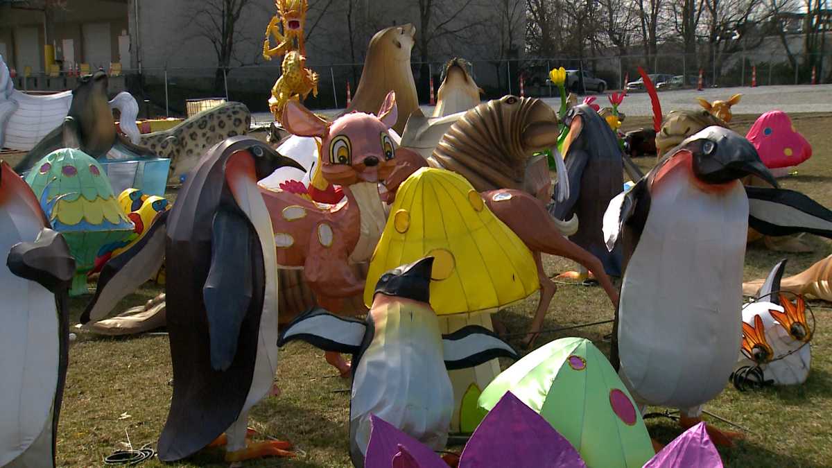 Behind the scenes Artists create largerthanlife lanterns for