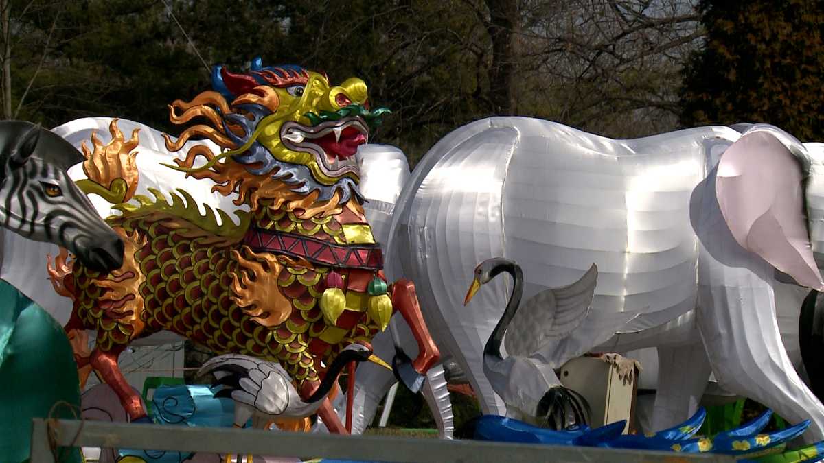 Behind the scenes Artists create largerthanlife lanterns for