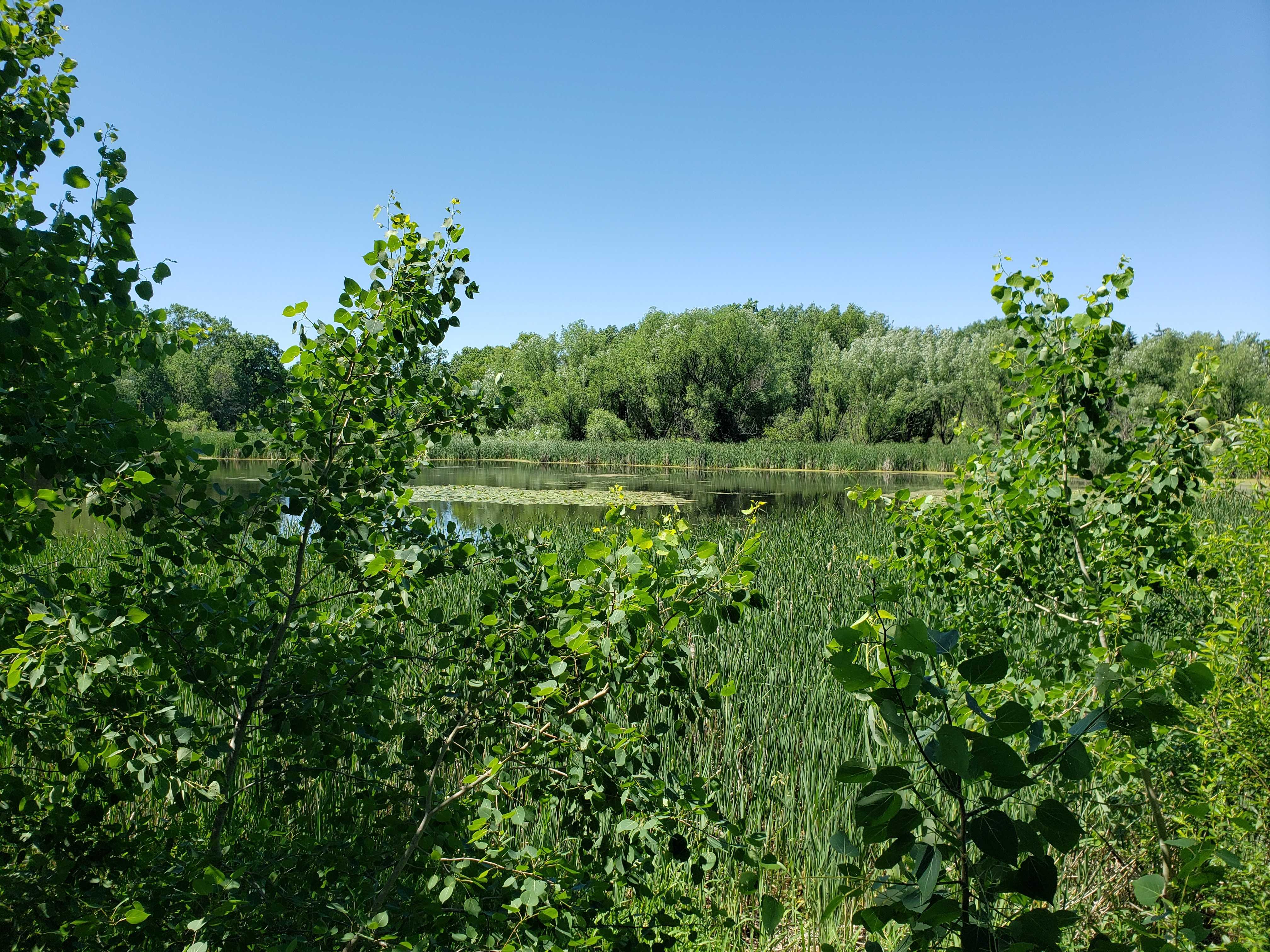 2024 Wisconsin Park And Forest Annual Admission Stickers Trail Passes   Lapham Peak Unnit 6565487b537f6 