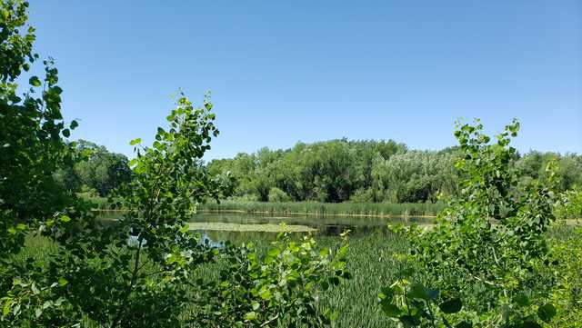2024 Wisconsin park and forest annual admission stickers, trail passes now on sale - Vimarsana News