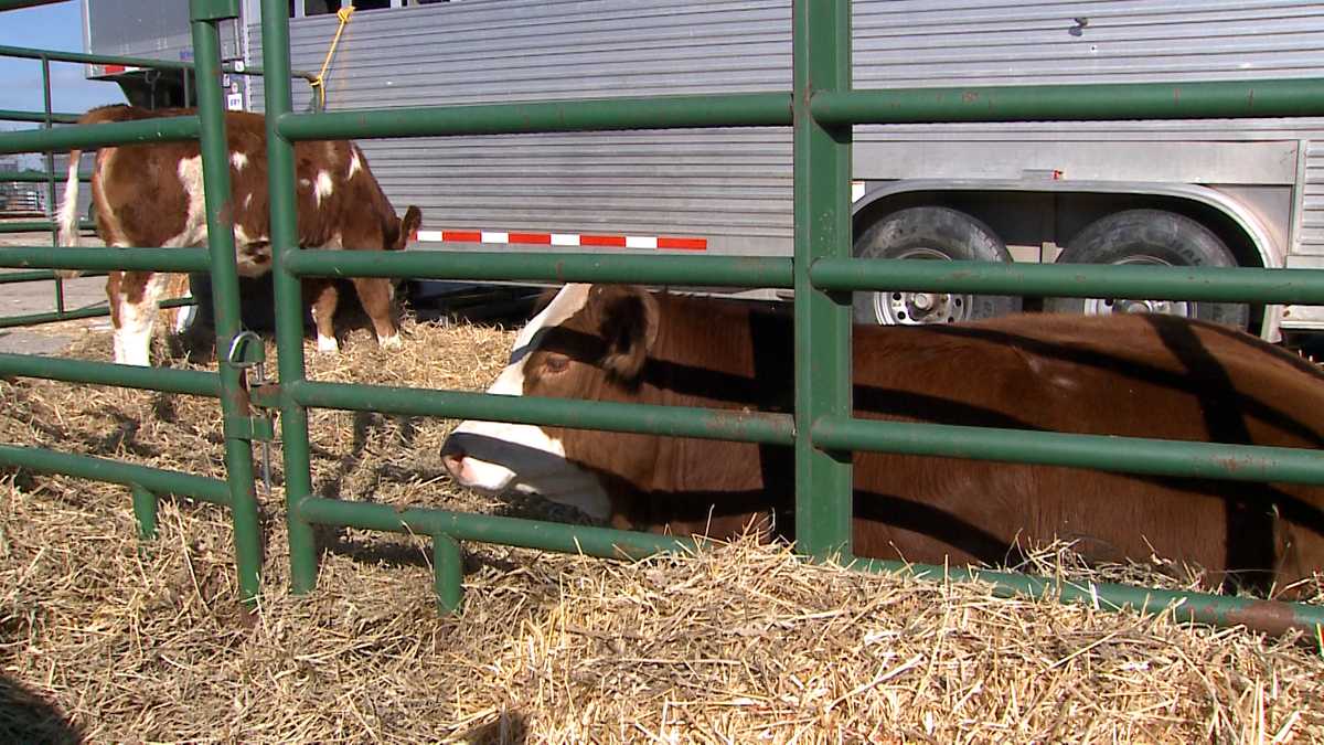 Kentucky agriculture Leaders meet to discuss vet shortage in state