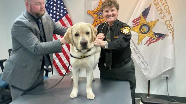 Hamilton County Sheriff's Office introduces newest deputy K9 - Vimarsana News