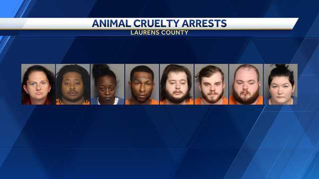 11 cats, 4 snakes, Bearded Dragon, 8 dogs found in SC home in 'deplorable conditions', sheriff says - Vimarsana News
