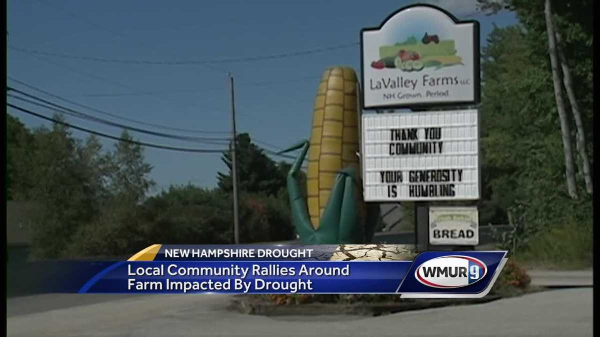 Hooksett farm seeking donations after drought during growing season