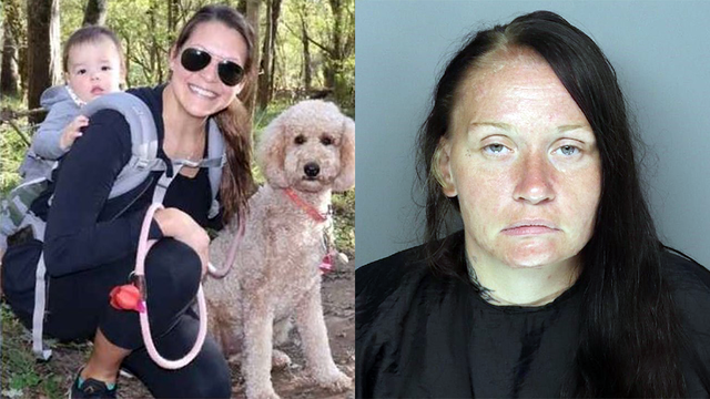 Deadly Hit and Run Arrest: Authorities in South Carolina make arrest after woman, dog killed - Vimarsana News