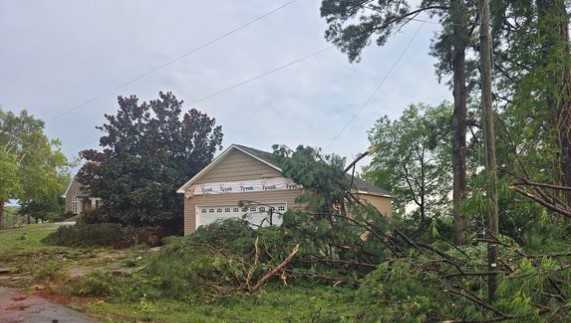 Storms bring rain, lightning and winds with downed trees Saturday