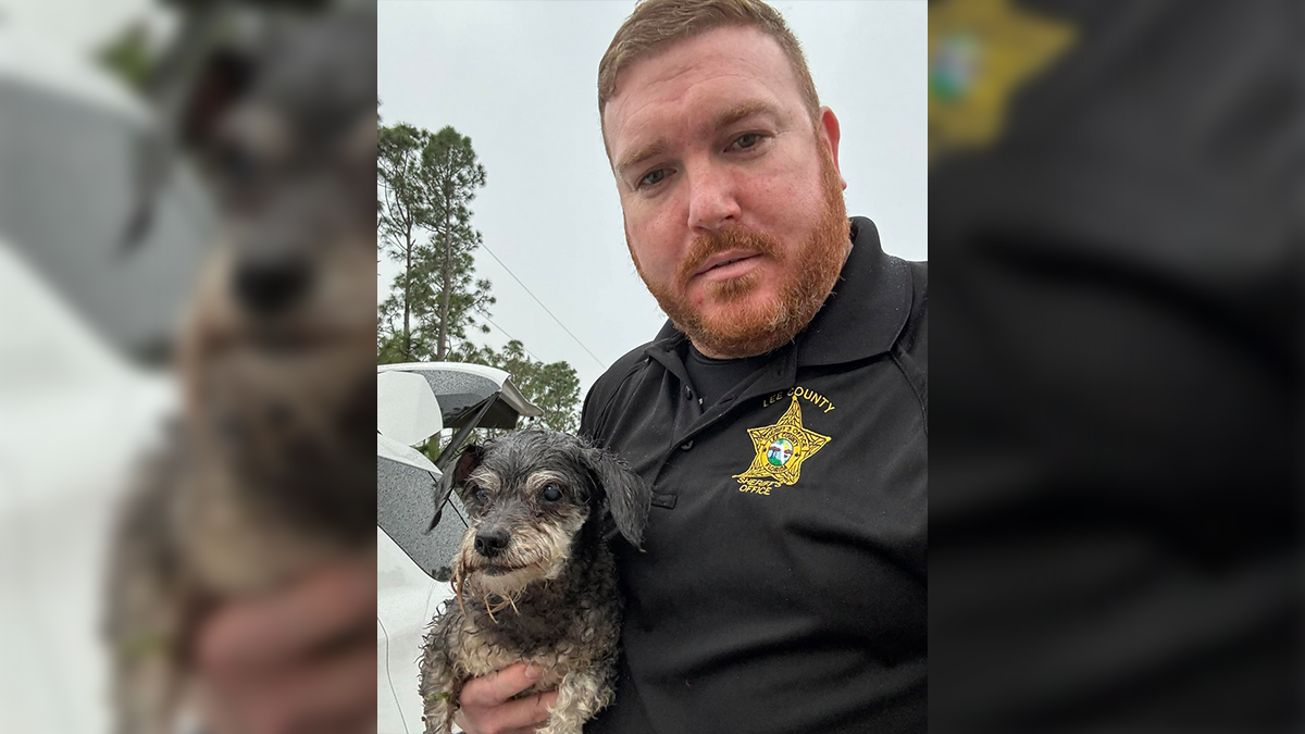 Lee County deputy saves dog from severe storm