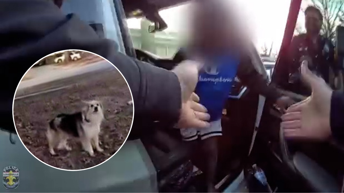 Neighborhood dog leads police right to missing 3-year-old boy