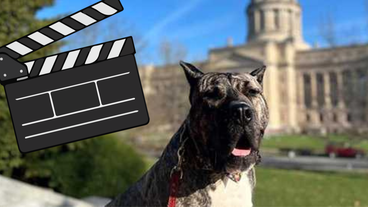 'Ethan Almighty' movie starts filming this spring: What we know about it