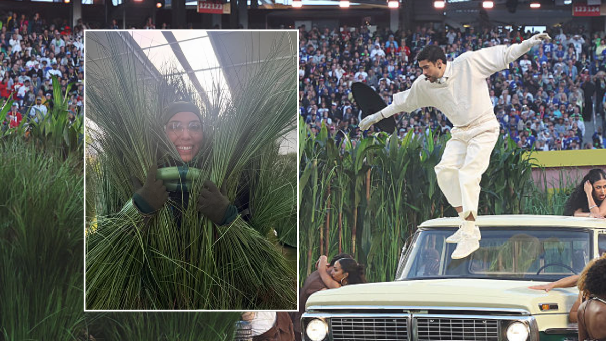 Meet one of the 'grass people' in Bad Bunny's Super Bowl halftime show