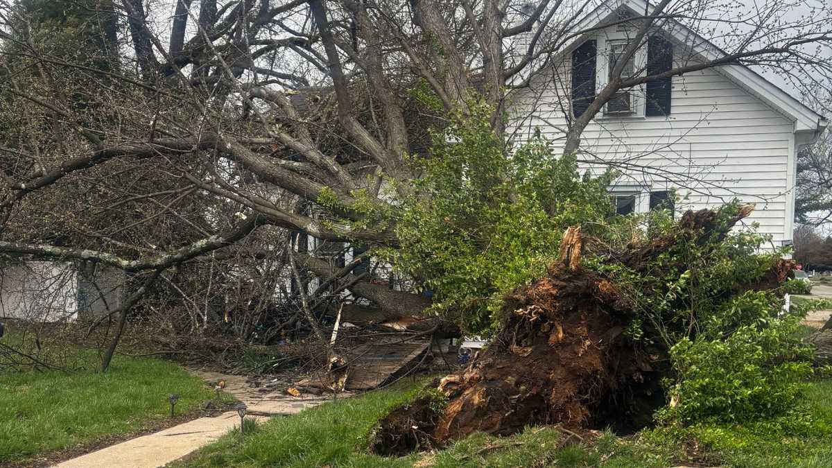 PHOTOS: Storm damage across Louisville, southern Indiana