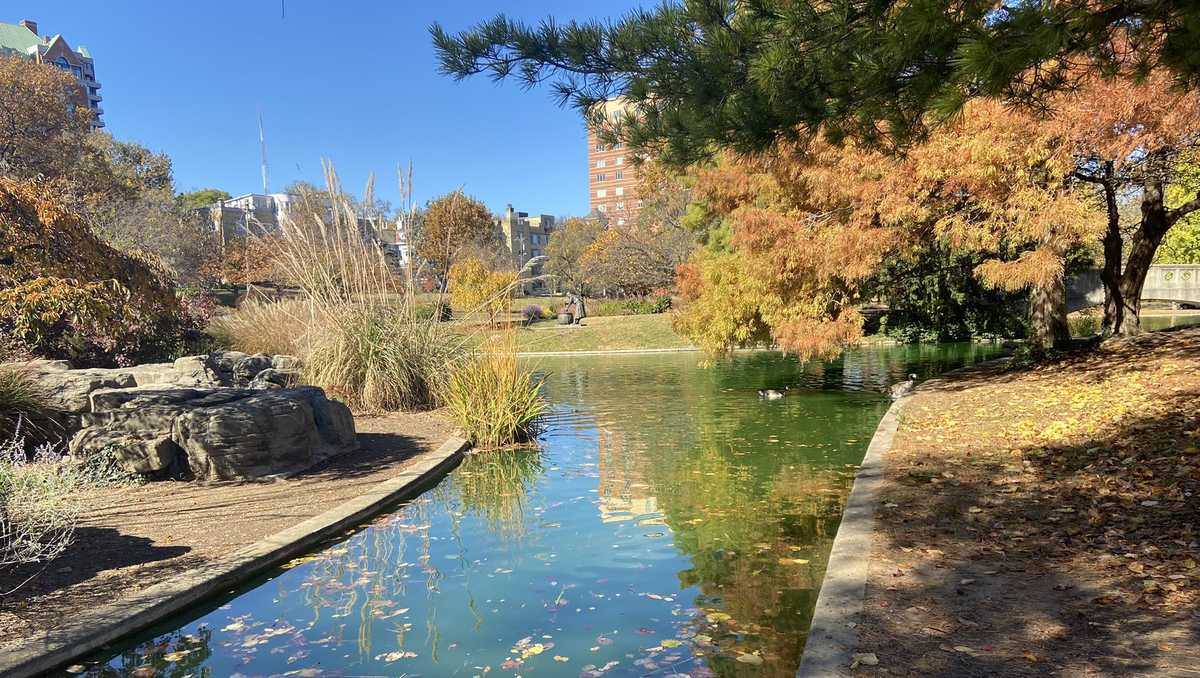 1,000 trees planted for Cincinnati's Fall ReLeaf Program