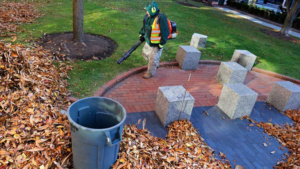 California city bans gas-powered leaf blowers - Vimarsana News