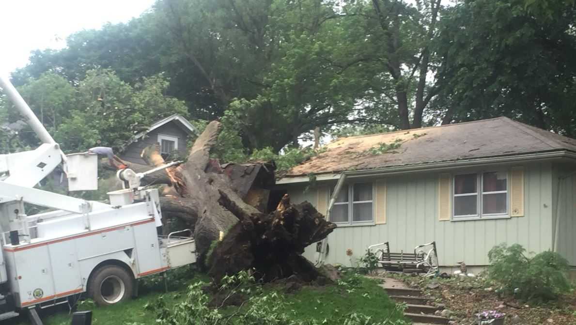 Woman killed after massive tree falls on house in Leavenworth