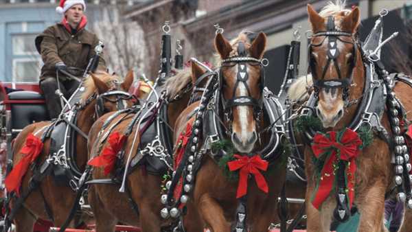 Lebanon Ohio Christmas Parade 2022 Lebanon Carriage Parade & Christmas Festival: What To Know 2021