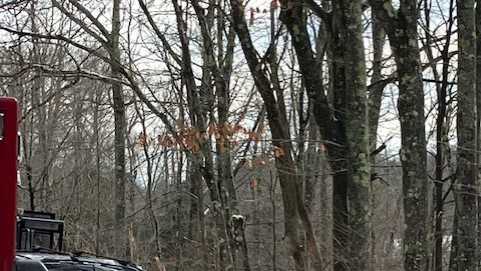 New Hampshire woman dies day after Maine crash - Vimarsana News