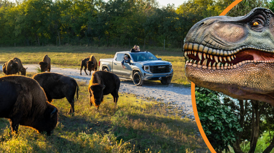 'Larger than life': Dinosaurs are coming to Nebraska's Wildlife Safari Park this year
