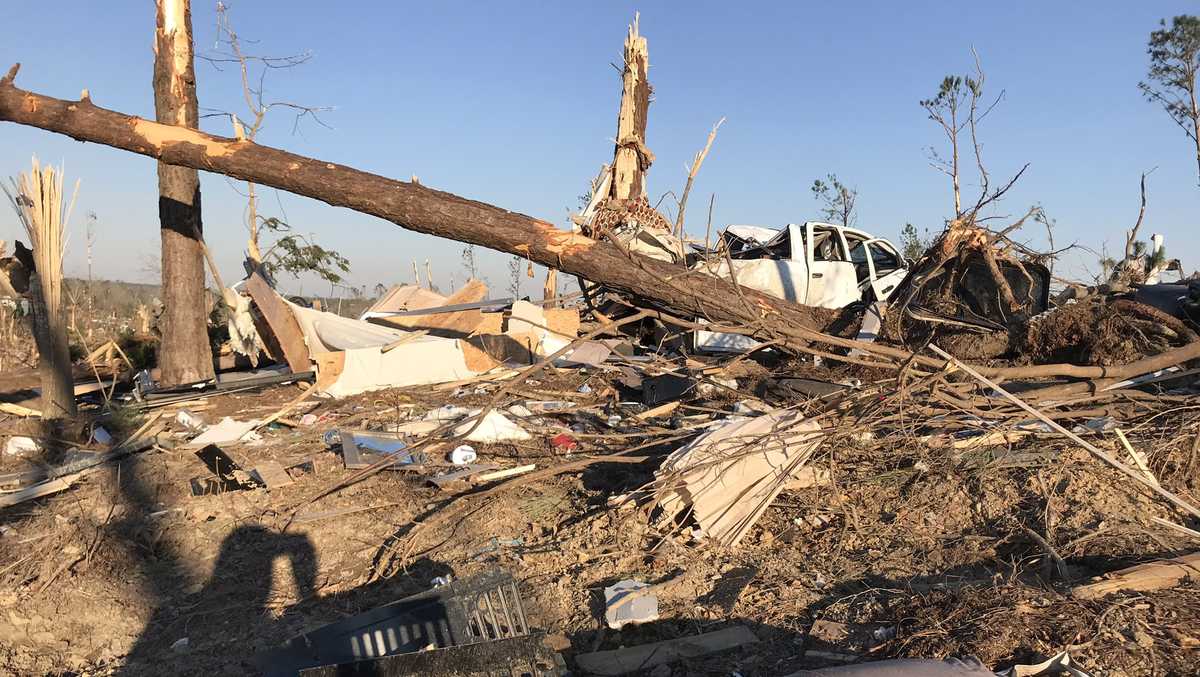 VIDEO: Tornado damage on Lee Road 38 in Lee County
