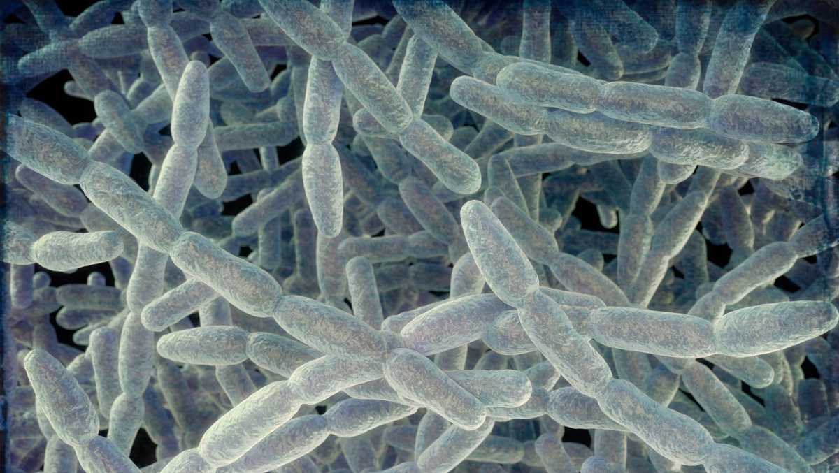 Lincoln, New Hampshire’daki soğutma kulesi dezenfekte edildi ve Legionella bakterileri için yapılan testler negatif çıktı