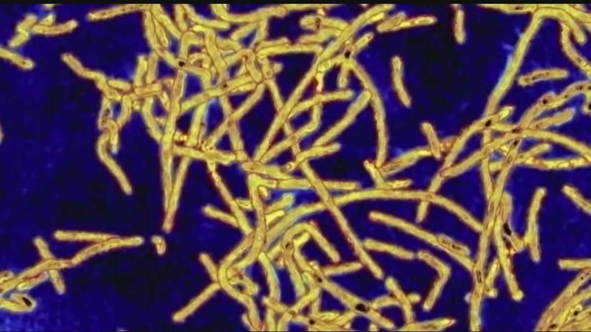 Hot tub display at North Carolina fair may be origin of deadly outbreak