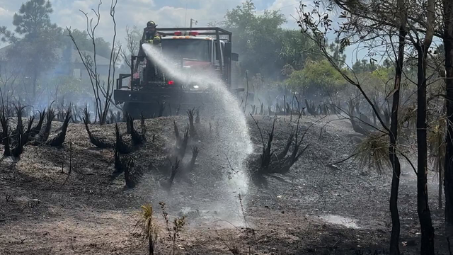 1-acre brush fire threatens Lehigh Acres homes - Vimarsana News