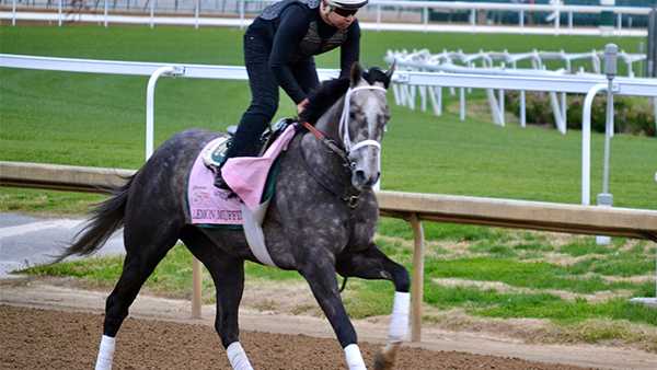 Horses running in Kentucky Oaks 2024 - pictures