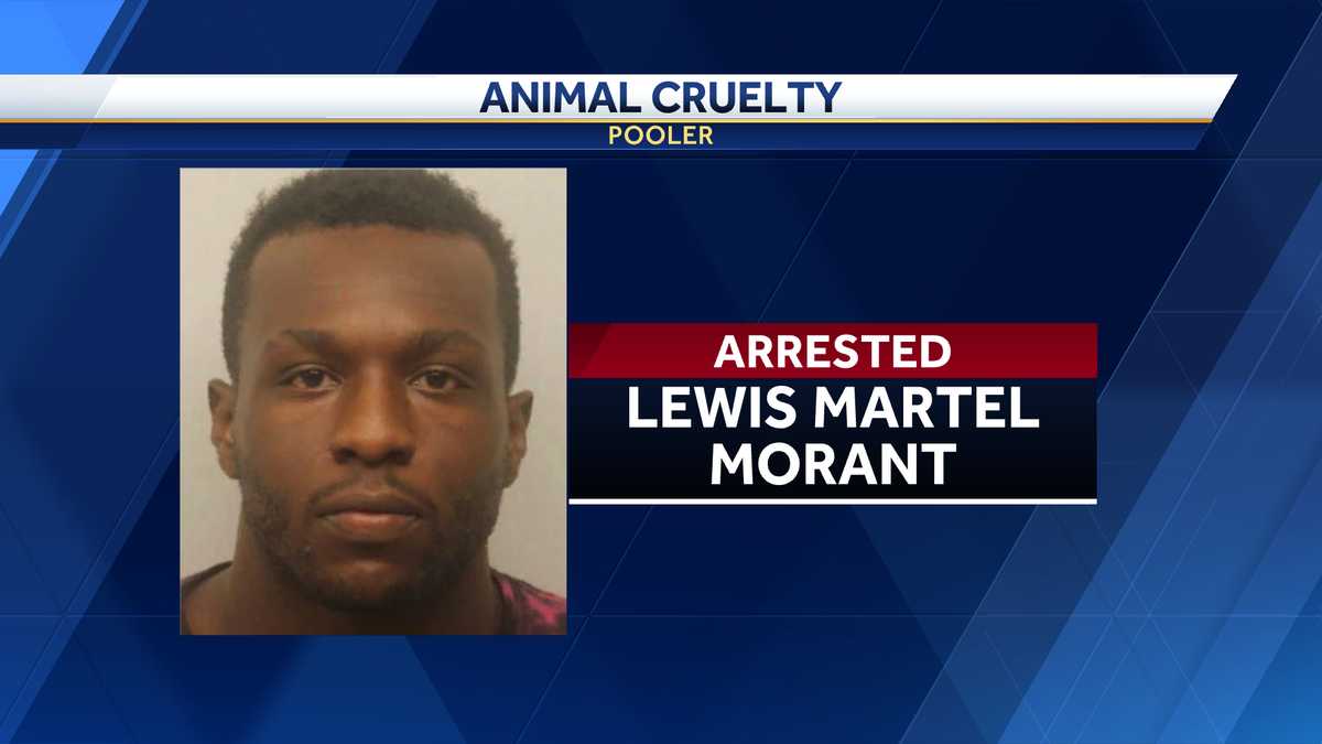 Man arrested for animal cruelty after leaving dog in hot car