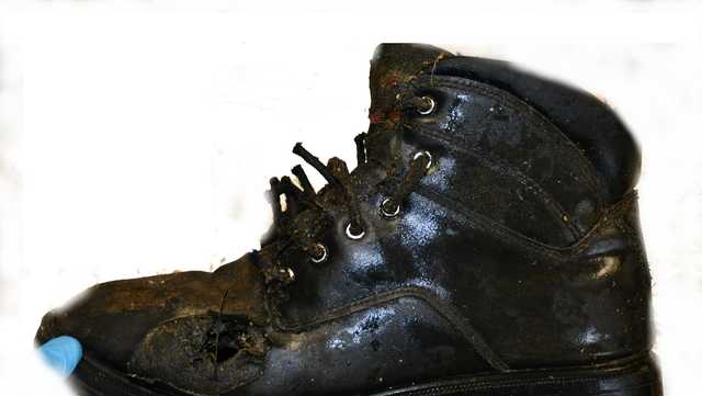 South Carolina: Skeletal remains found with boot on - Vimarsana News