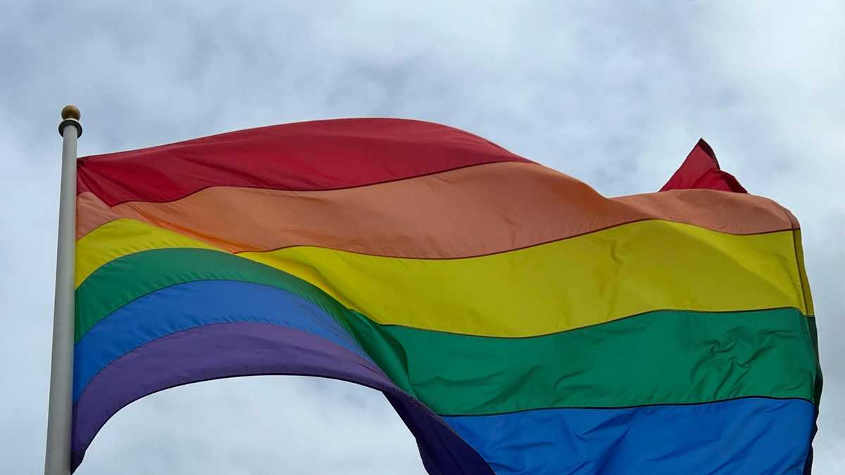 In Pride Month, LGBTQ+ trailblazers reflect on progress made