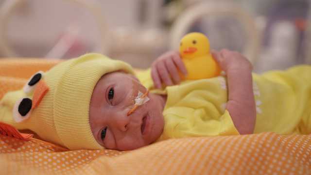 NICU group Halloween costume: Make Way for Ducklings - Vimarsana News