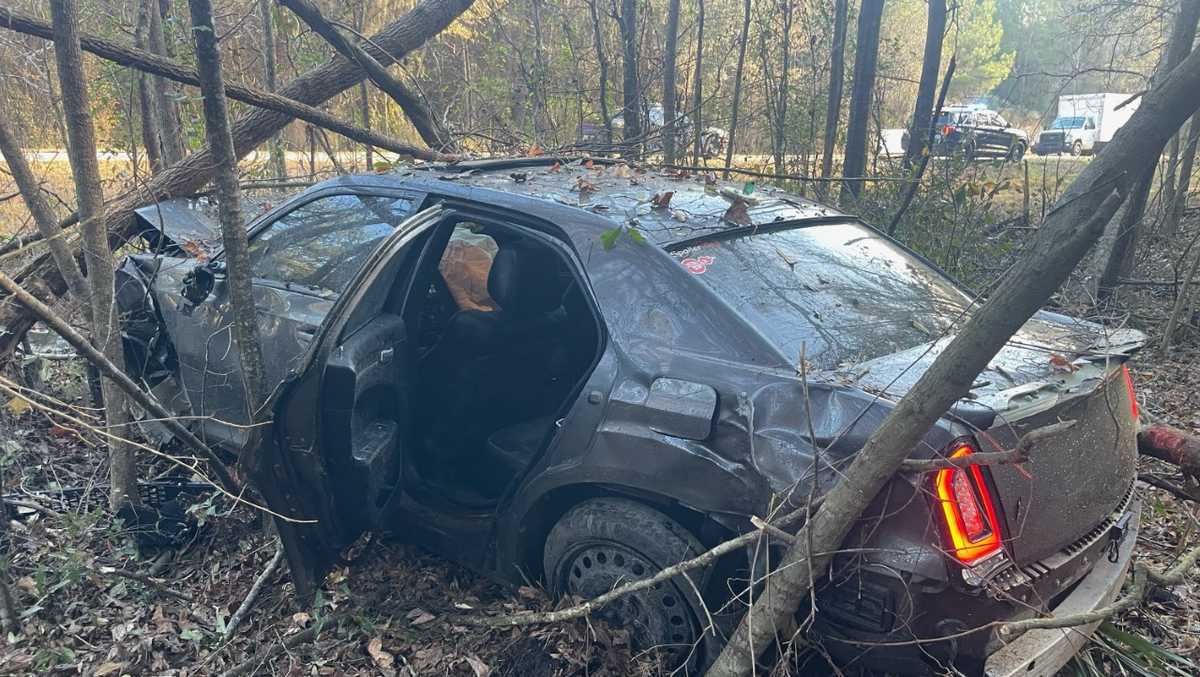 Georgia: Wanted man leads deputies on chase before crashing car