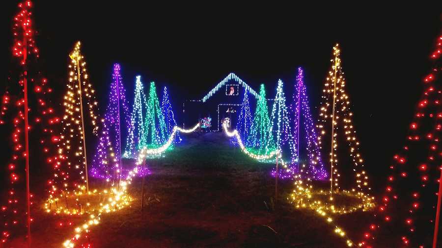 Largo Park Christmas Lights 2022 Where To Find The Best Holiday Lights In Tampa Bay