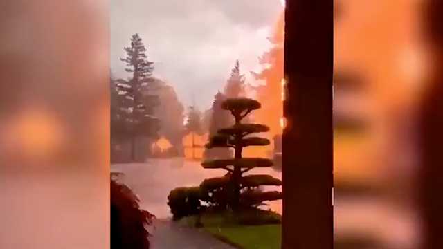 Video Captures Exact Moment Lightning Strikes Tree Setting It Ablaze 