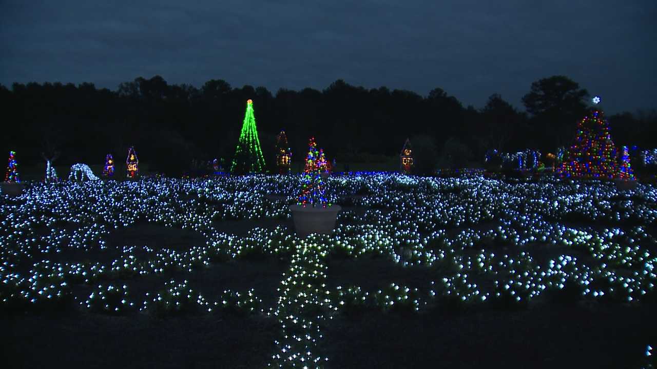 botanical gardens savannah ga christmas lights