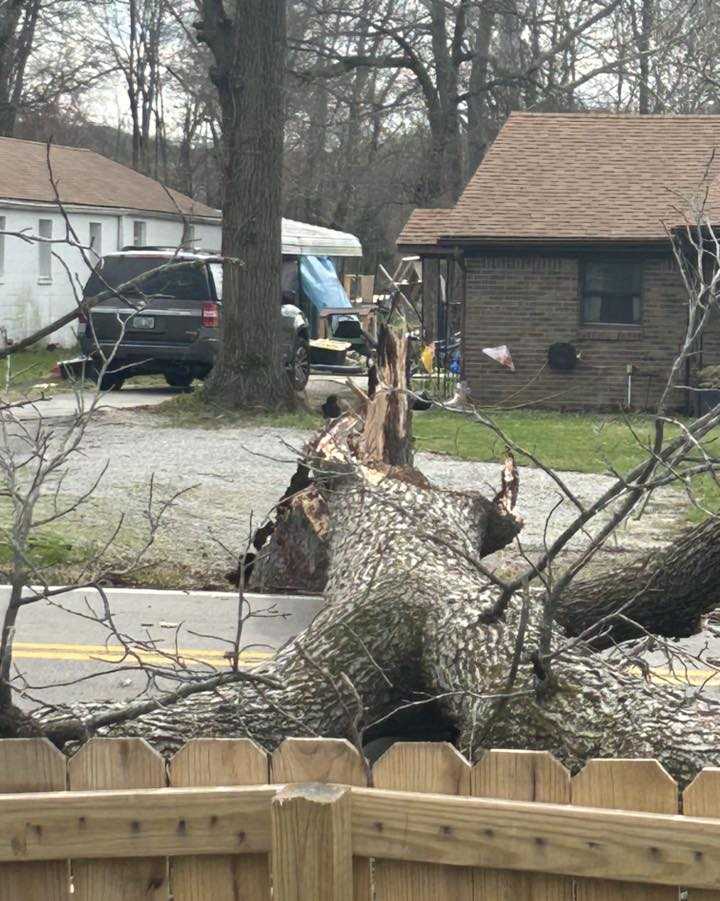 PHOTOS: Storm damage across Louisville, southern Indiana
