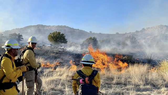 Line Shack fire burns 250 acres in Hidalgo County - Vimarsana News