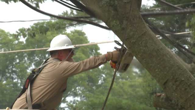 WATCH: A man narrowly avoids falling tree while clearing storm damage in Ripley - Vimarsana News