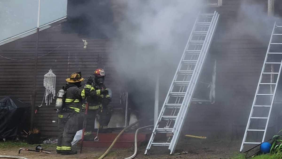 Pets killed in weekend Lisbon fire